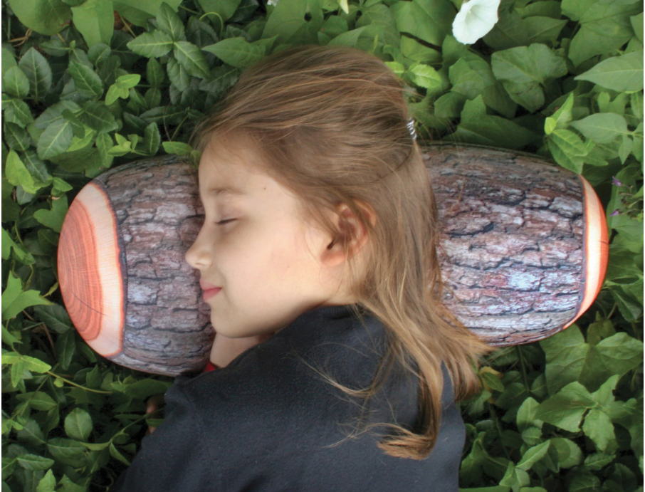 Log Pillow